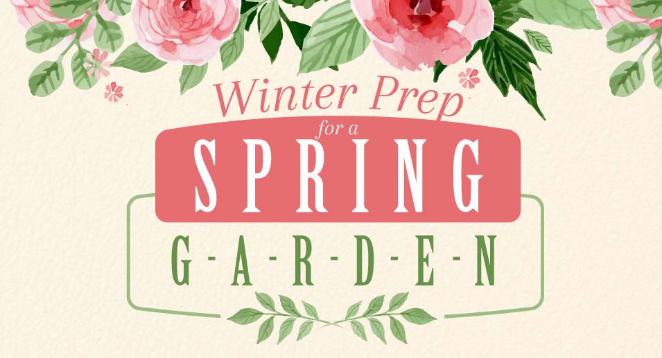 Winter Prep for a Spring Garden [Infographic]