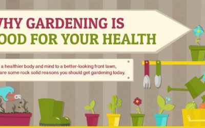 Why Gardening is Good for You