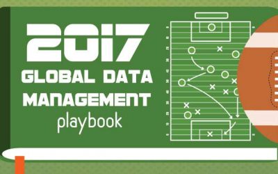 2017 Global Data Management Playbook