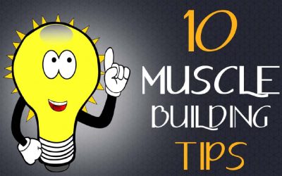 10 Muscle Building Tips