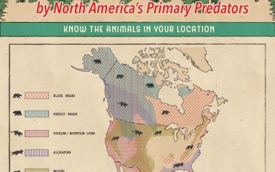 How to Survive an Animal Attack by North America’s Primary Predators