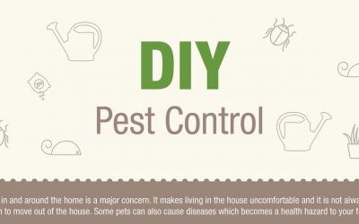 DIY Pest Control