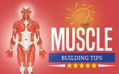 Muscle Building Tips