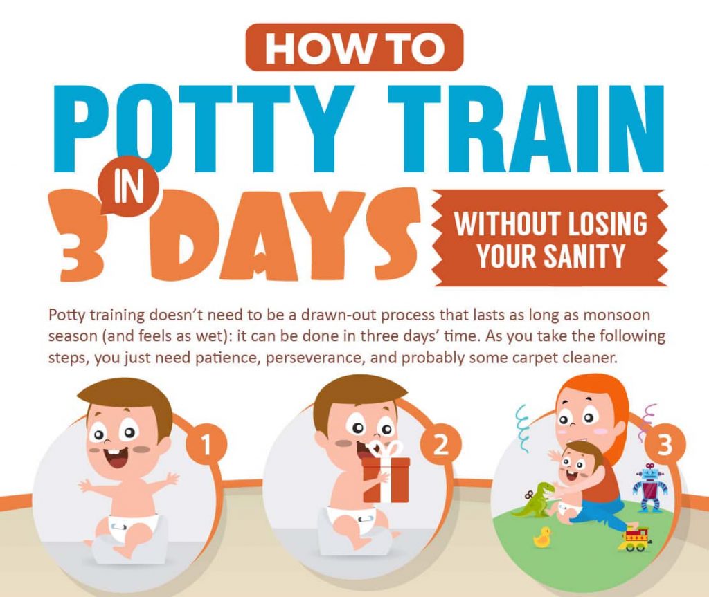 how-to-potty-train-in-3-days-without-losing-your-sanity-infographic