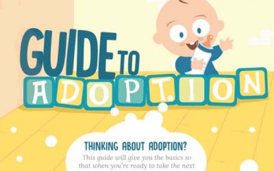 Guide to Adoption