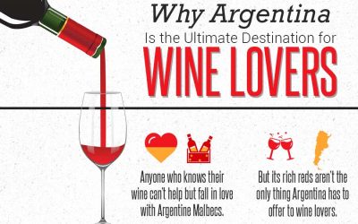 Why Argentina is the Ultimate Destination for Wine Lovers