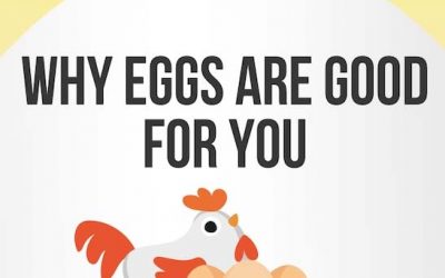 Are Eggs Good or Bad for You?