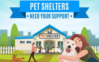 Pet Shelters Need Your Support