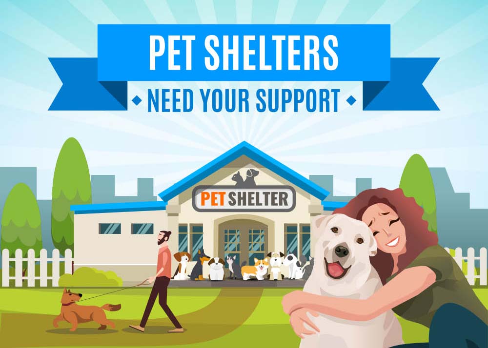 Some animals go to a shelter. Pet Shelter. Animal Shelter картинки. Pet Shelter Horjul логотип. Shelter cartoon.