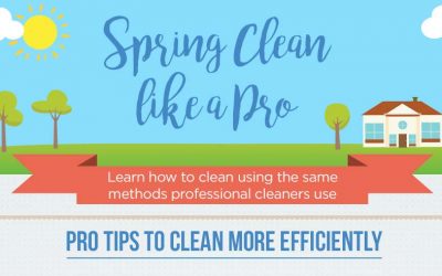 Spring Clean Like A Pro