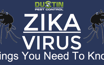 Zika Virus: Things You Need to Know