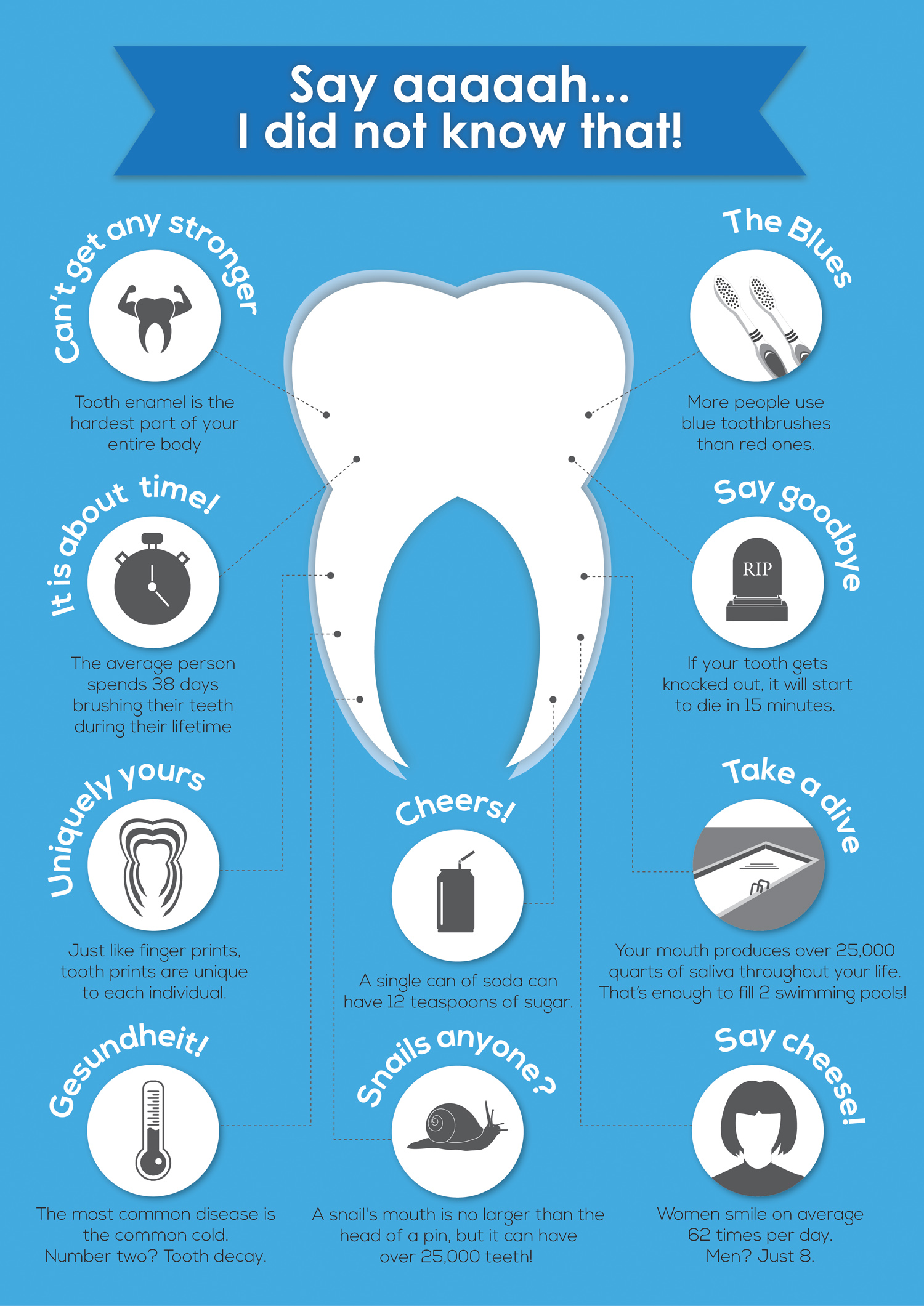10 Cool Facts About Your Teeth 