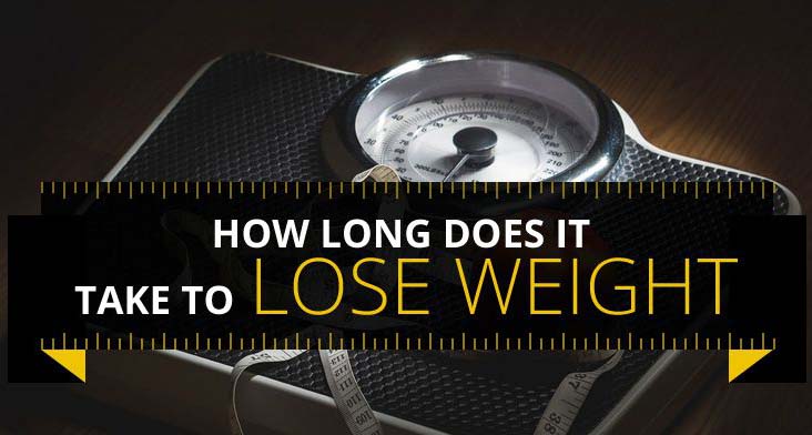 How Long Dies It Take To Lose Weight How Long Does it Take to Lose Weight [Infographic]