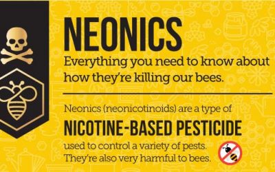 Neonics – How They’re Killing Our Bees