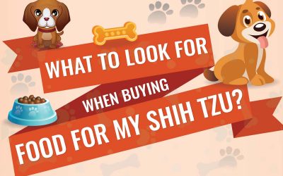 What To Look For When Buying Food For a Shih Tzu