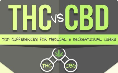 THC vs. CBD: Top Differences for Medical and Recreational Users