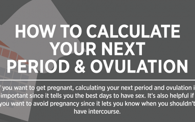 How To Calculate Your Next Menstrual Cycle and Ovulation