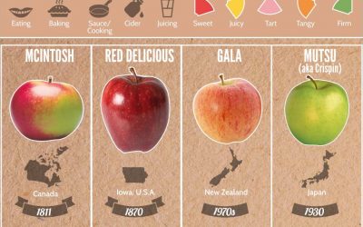 37 Apple Varieties Around the World & Their Flavor Profiles