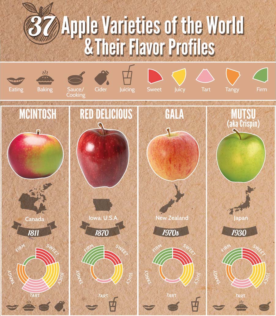 Exploring the Diverse World of Apple Varieties: Classics