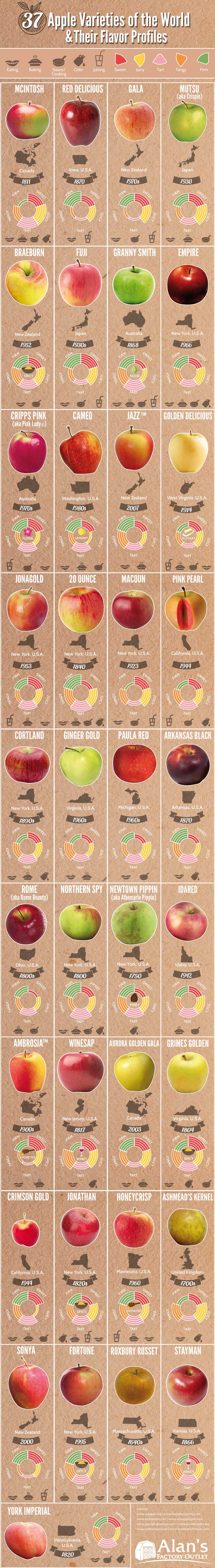 37 Apple Varieties Around the World & Their Flavor Profiles