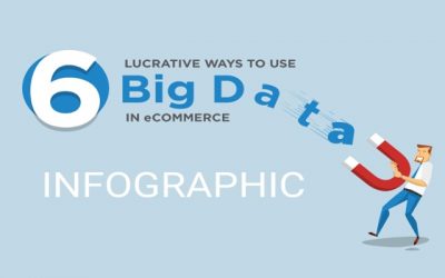 6 Profitable Ways To Use Big Data In eCommerce