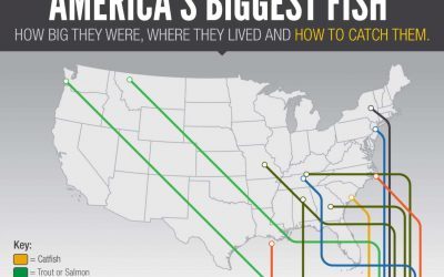 America’s Biggest Fish