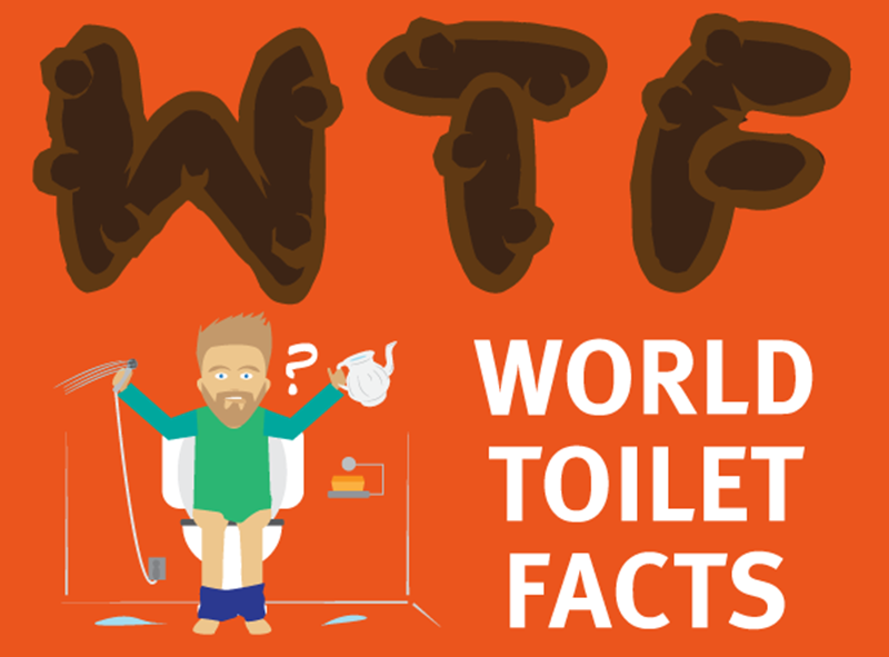 Fun facts about the toilet