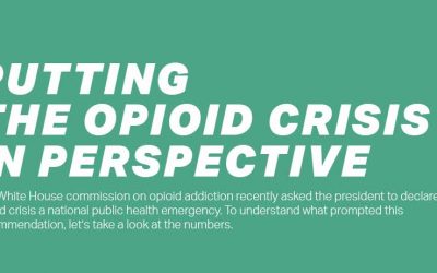 Putting the Opioid Crisis into Perspective