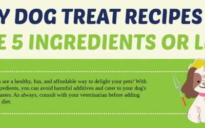 DIY Dog Treat Recipes That Are 5 Ingredients or Less