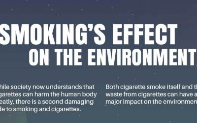 Smoking’s Effect On The Environment