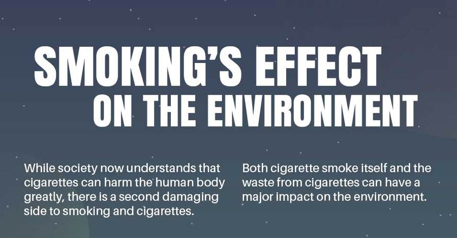 Smoking's Effect On The Environment [Infographic]