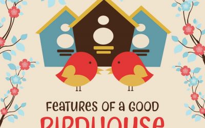 Features of a Good Birdhouse