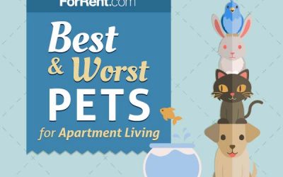 Best & Worst Pets for Apartment Living