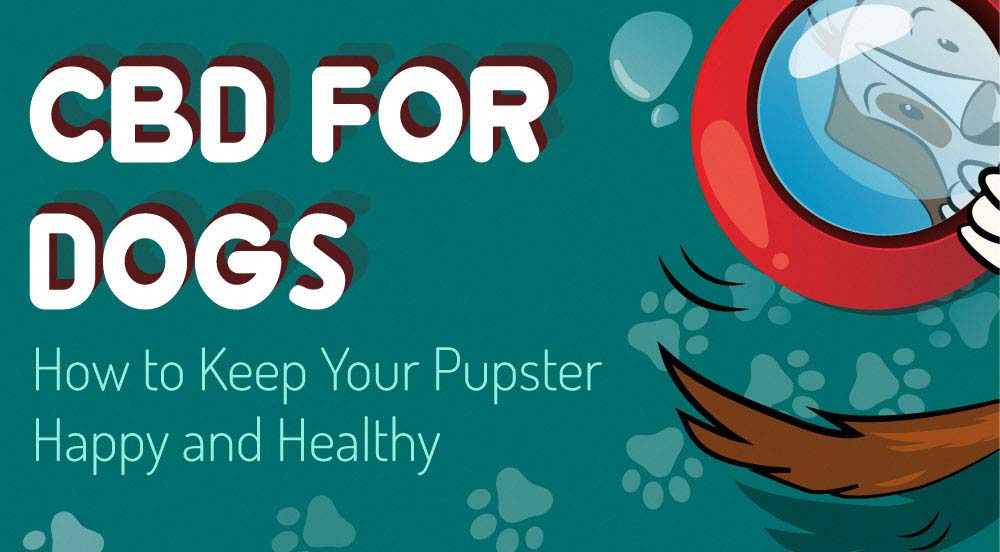CBD for Dogs How to Keep Your Puppster Happy and Healthy [Infographic]