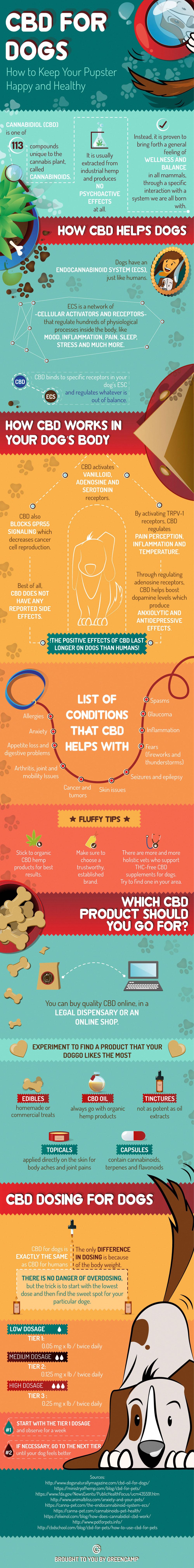 CBD for Dogs: How to Keep Your Puppster Happy and Healthy