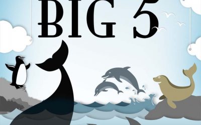 Introducing the Marine Big 5