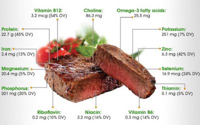 Health Benefits of Eating Meat