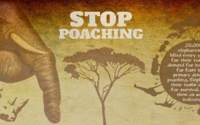 Stop Animal Poaching