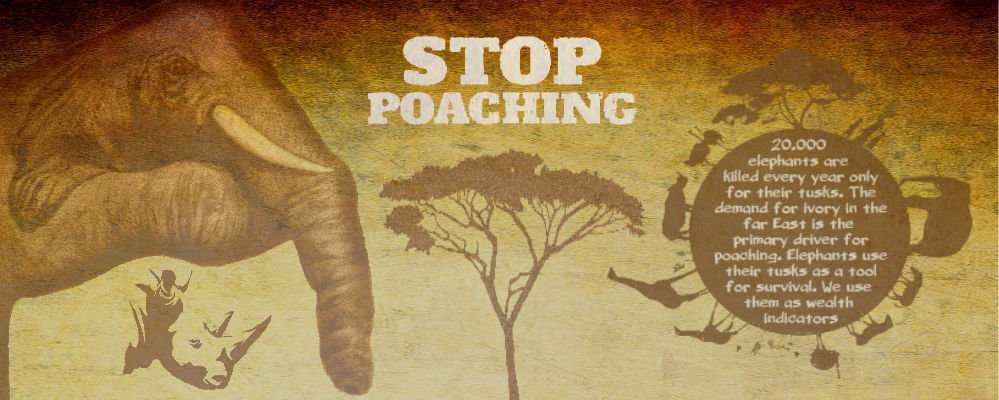 Stop Animal Poaching [Infographic]