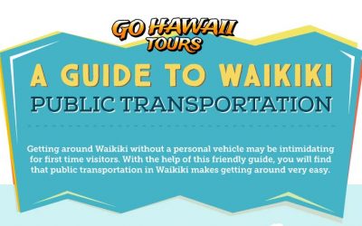 A Guide to Waikiki Public Transportation
