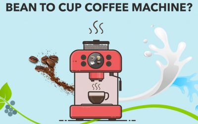 Why Choose a Fully Automatic Bean to Cup Coffee Machine?