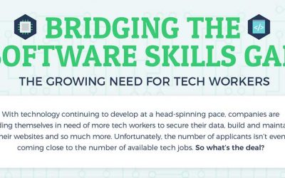 Bridging the Software Skills Gap