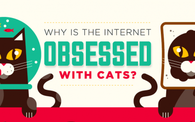 Why is the Internet Obsessed With Cats?
