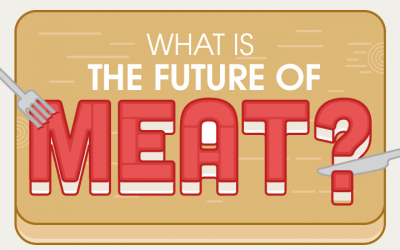 What is the Future of Meat?