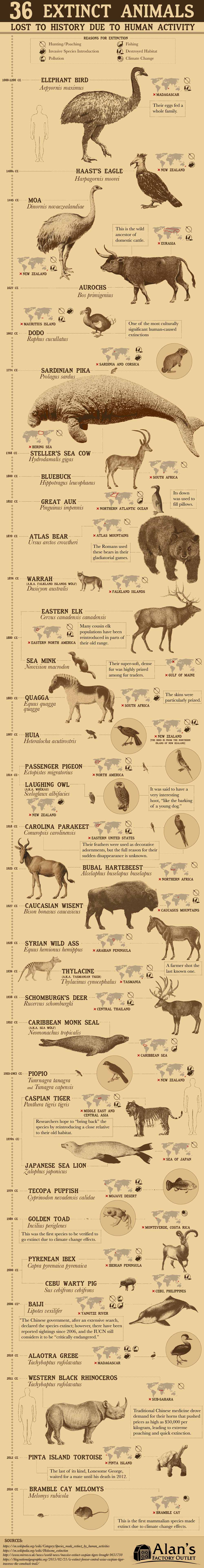 36 Extinct Animals Lost to History Due to Human Activity [Infographic]