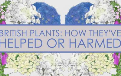 How British Plants Have Harmed or Helped