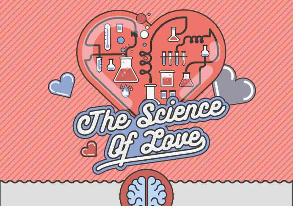 The Science Of Love Infographic The Science Of Love Infographic