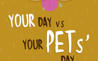 Your Day VS Your Pets’ Day