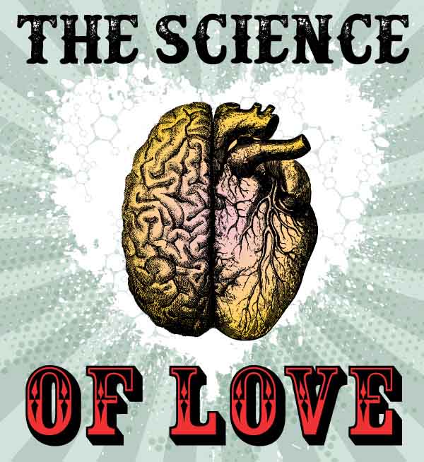The Science Of Love Infographic The Science Of Love Infographic