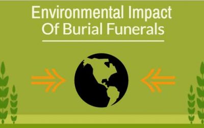 Environmental Impact of Burial Funerals